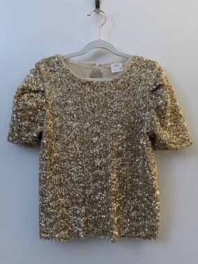 Zara Gold Puff Sleeve Top Champagne Gold Sequin Top